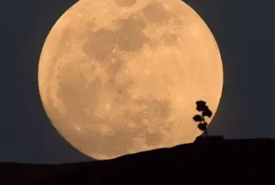 Griffith Park, Virgina, Estados Unidos