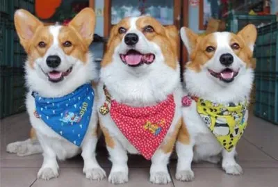 é…’é…’å¤§å¤§å¤šå¤š