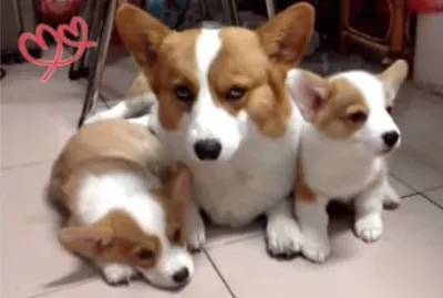 é…’é…’å¤§å¤§å¤šå¤š