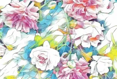 Wild roses (photo edited)