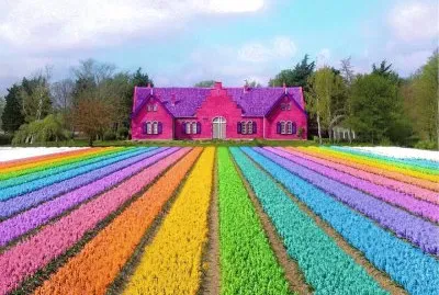 art400 jigsaw puzzle