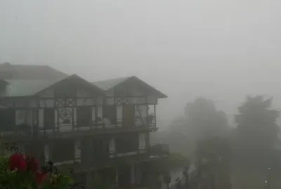 Neblina en Colina Tovar, Aragua, Venezuela