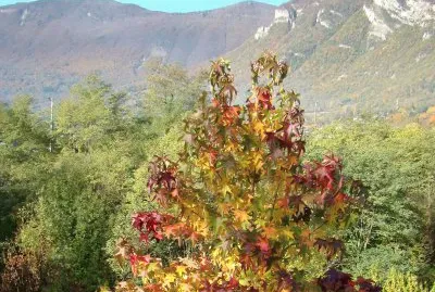 Saint-Pierre d 'Albigny, Savoie