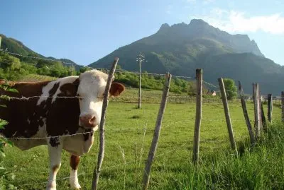 פאזל של Saint-Pierre d 'Albigny, Savoie