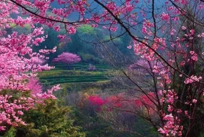 imagem jigsaw puzzle