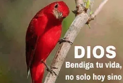 Bendiciones