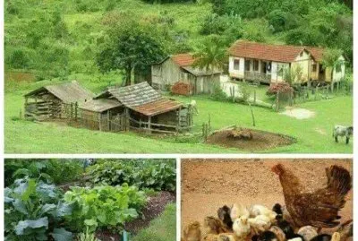La granja