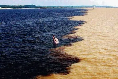 Encuentro entre RÃ­o Orinoco y RÃ­o CaronÃ­