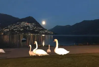 Lugano