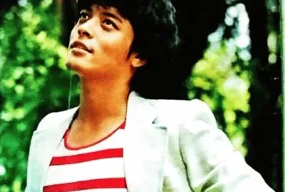 Taiwan 70 's superstar åŠ‰æ–‡æ­£