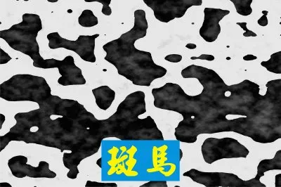 æ–‘é¦¬ jigsaw puzzle