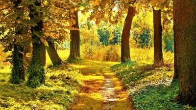 imagem jigsaw puzzle