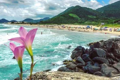 imagem jigsaw puzzle