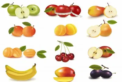 æ°´æžœçŸ¢é‡åœ–