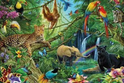Animaux