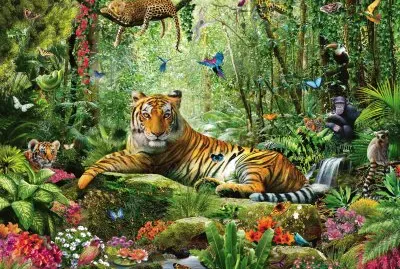 Animaux