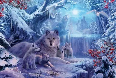 Animaux