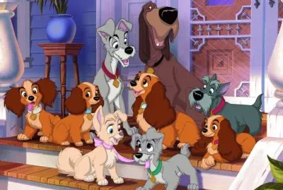 La belle et le clochard