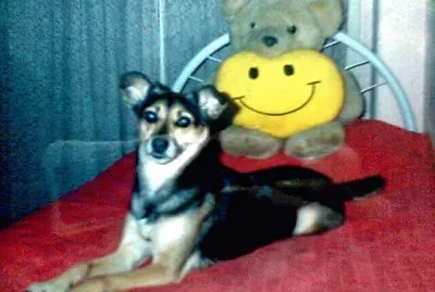 Pincky