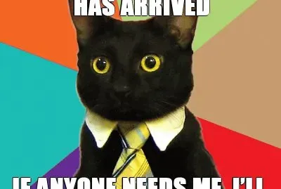 cats