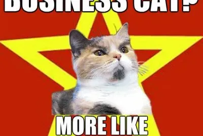 me as a cat