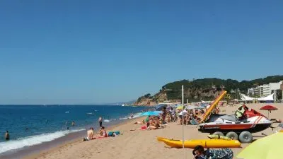 פאזל של varios