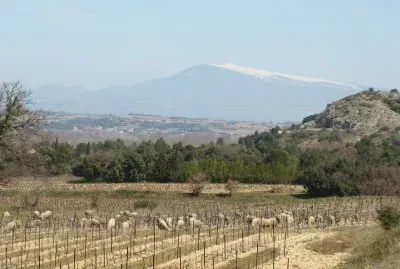 Sauveterre, Gard, France