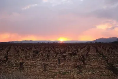 Lirac, Gard, France jigsaw puzzle