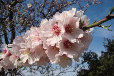 Sauveterre, Gard, France