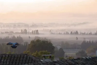 Sauveterre, Gard, France