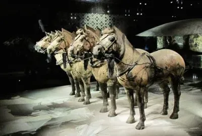 ä¸­åœ‹å…µé¦¬ä¿‘