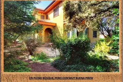 EN PLENO BOSQUE, PERO CON MUY BUENA PINTA jigsaw puzzle