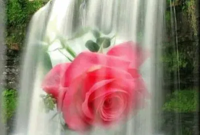 פאזל של imagem