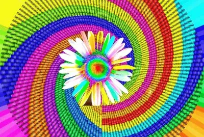 Life a Colorful Life jigsaw puzzle