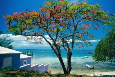 Un lugar de calma