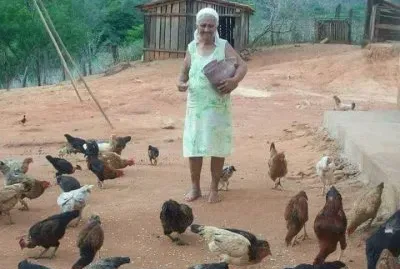 פאזל של Alimentando las gallinas
