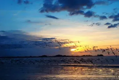 Isla de Coche, Venezuela