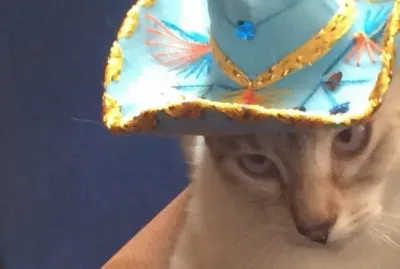 Mexico Lily jigsaw puzzle