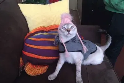 Lily posing for Ms. Jill