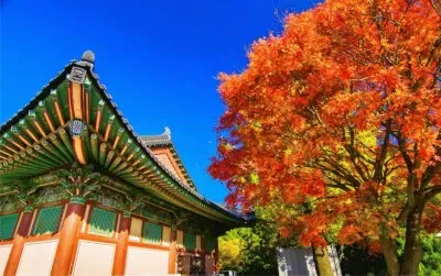 éŸ“åœ‹ jigsaw puzzle