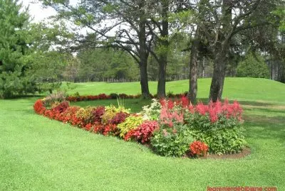 parc fleuri