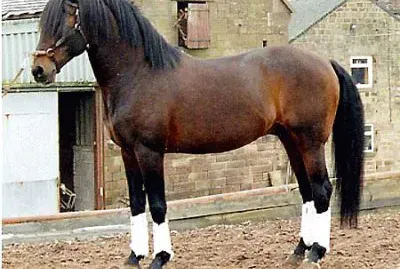 Alter real jigsaw puzzle