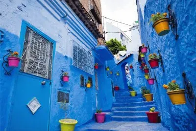 æ‘©æ´›å“¥