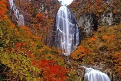 imagem jigsaw puzzle