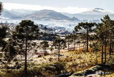 פאזל של imagem