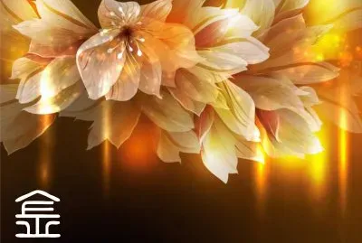 é‡‘è‰²å¤¢å¹»