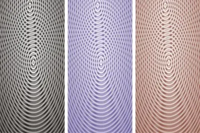 èœ˜è››ç¶² jigsaw puzzle