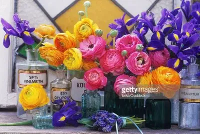 פאזל של Gorgeous Ranunculus and Iris Flowers