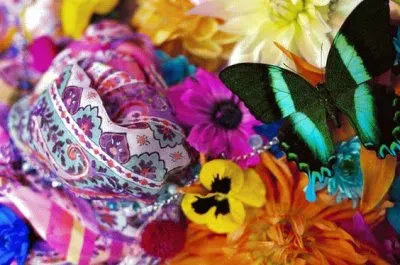 è´è¶ jigsaw puzzle