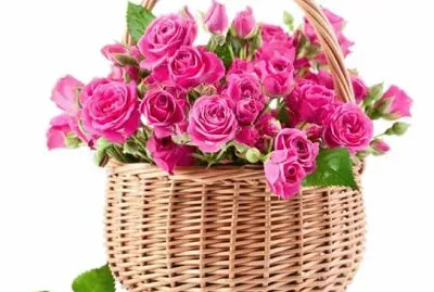 פאזל של imagem